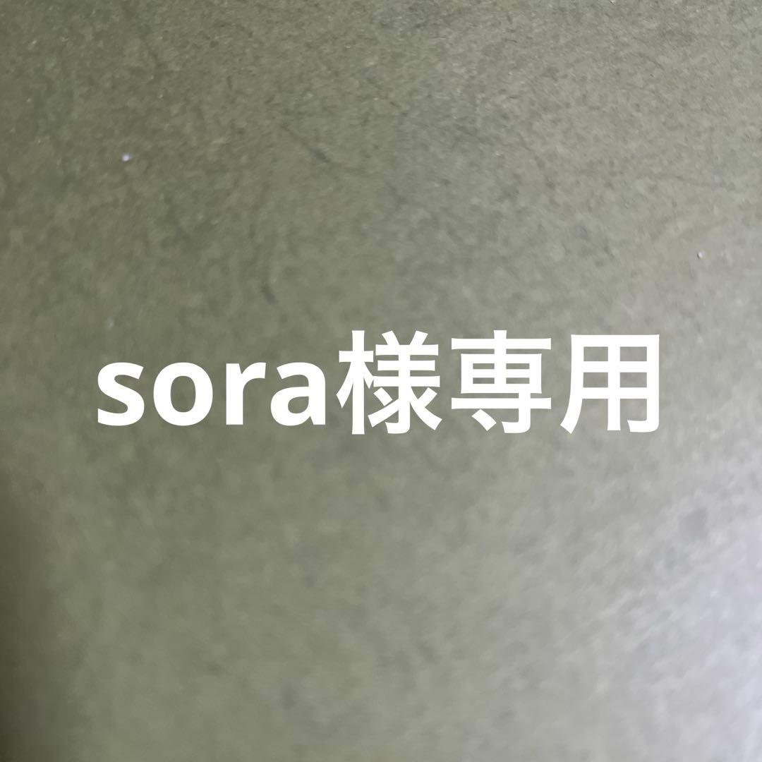 食器 sora