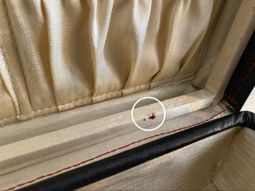 ユーラシアトランクセット