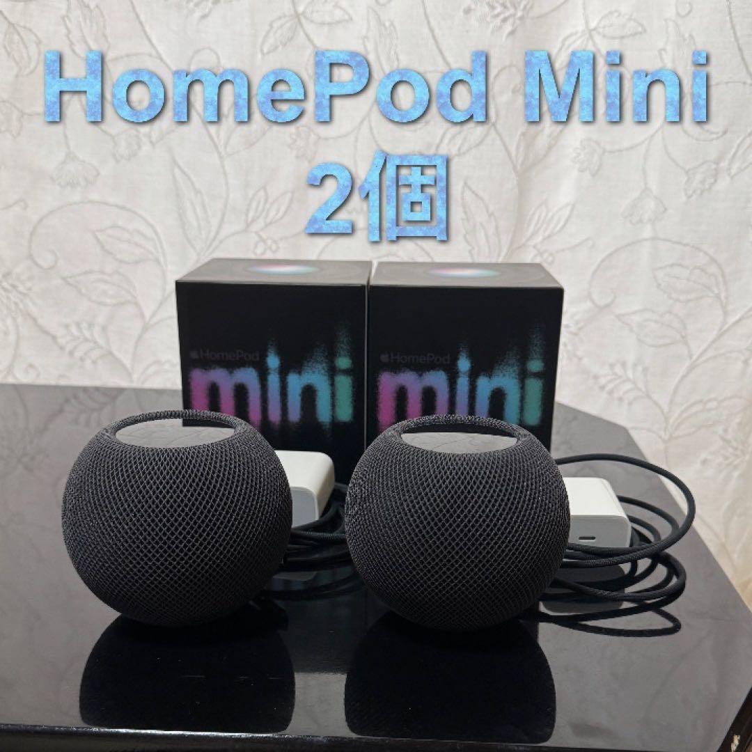 T*a様 APPLE Pod Mini スペースグレイ 2個セット