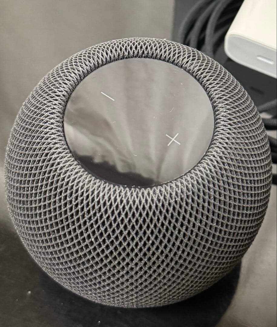 T*a様 APPLE Pod Mini スペースグレイ 2個セット