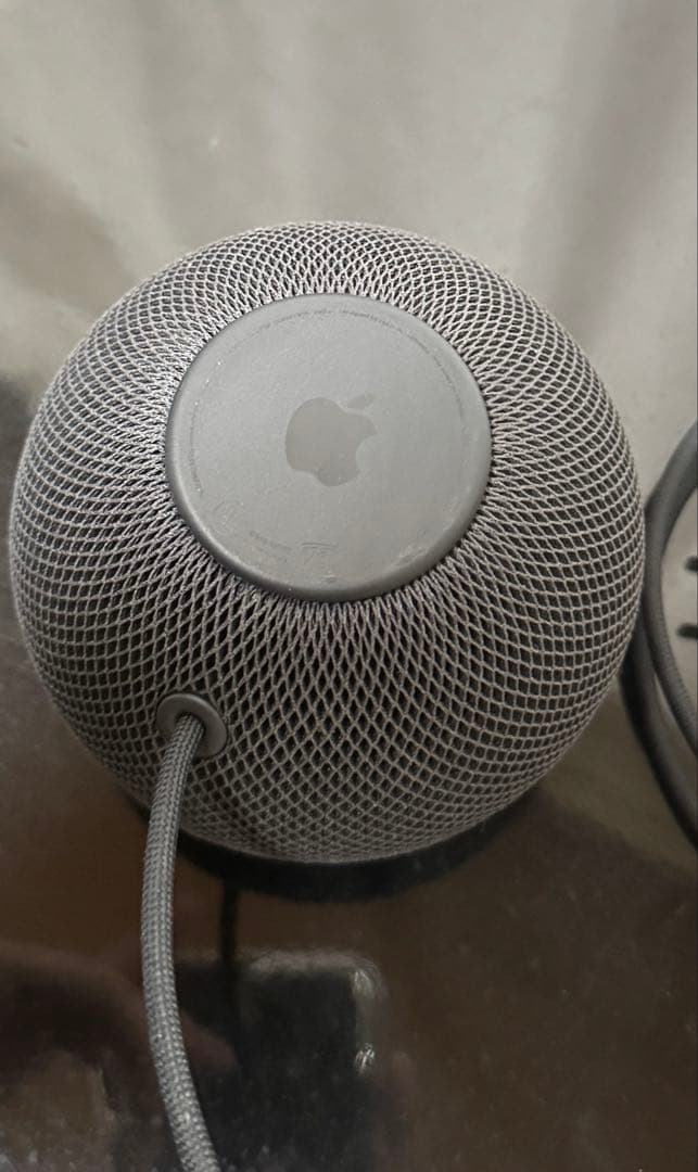 T*a様 APPLE Pod Mini スペースグレイ 2個セット