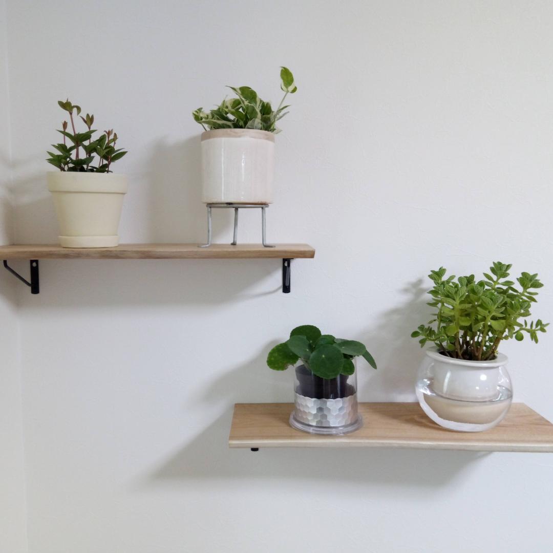 飾り棚（2つセット）／天然木使用／壁取付式