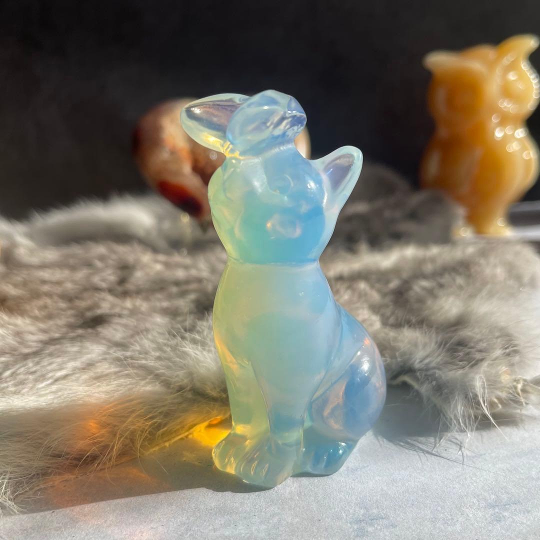 猫と蝶々 オパール