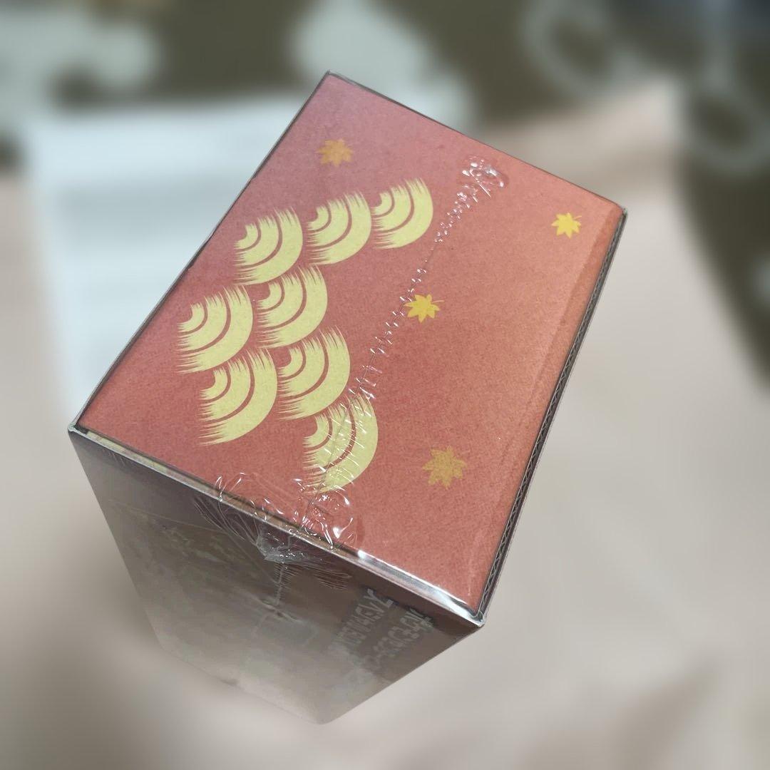 【新品未開封】シュリンク付き　ポケモンセンターヒロシマ スペシャルBOX