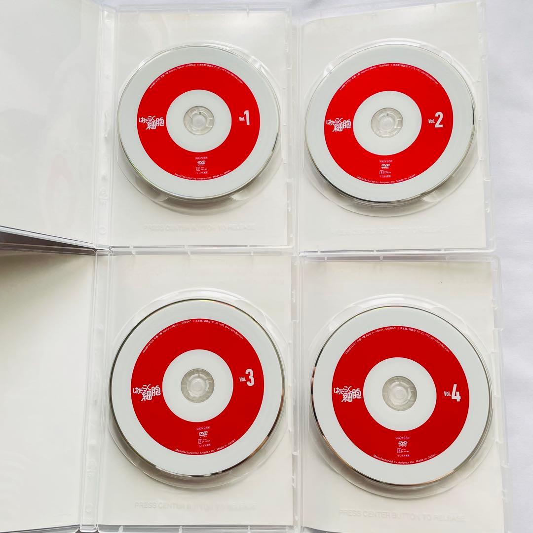 【新品ケース付】はたらく細胞　アニメ　DVD 全19巻セット　全巻セット