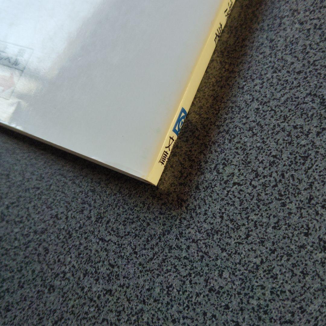 奥井の英文読解 3つの物語・分析と鑑賞　奥井潔　駿台文庫　英語長文　英文解釈