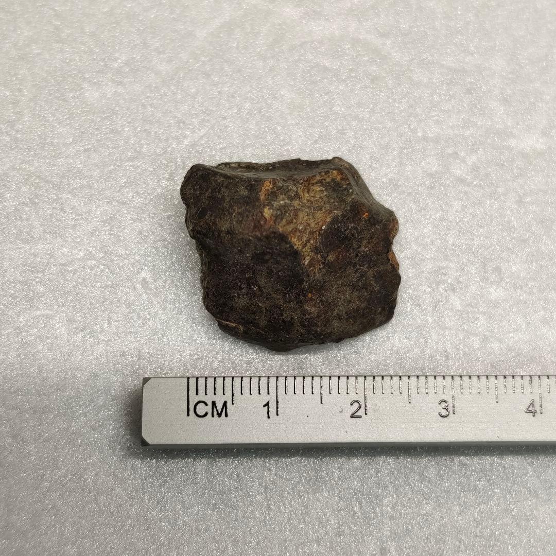 NWA869/NWA7831 サハラ隕石&ダイオジェナイト石隕石 NO.371