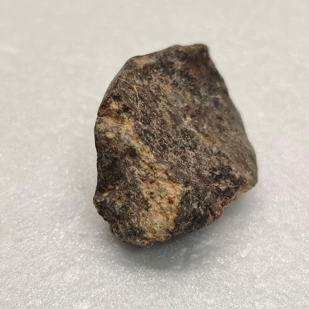 NWA869/NWA7831 サハラ隕石&ダイオジェナイト石隕石 NO.371