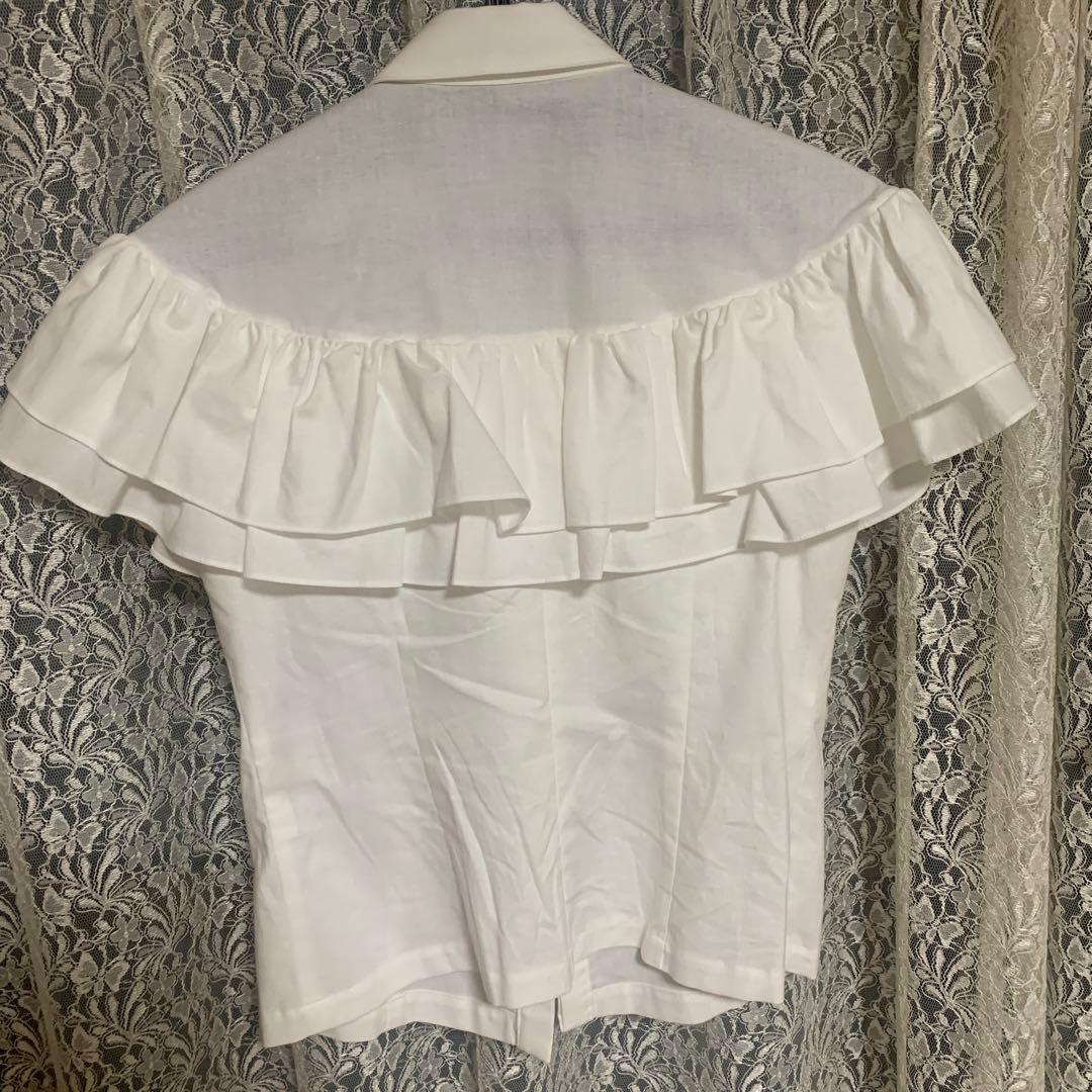 cygne シーニュ　ダブルフリルブラウス Florence