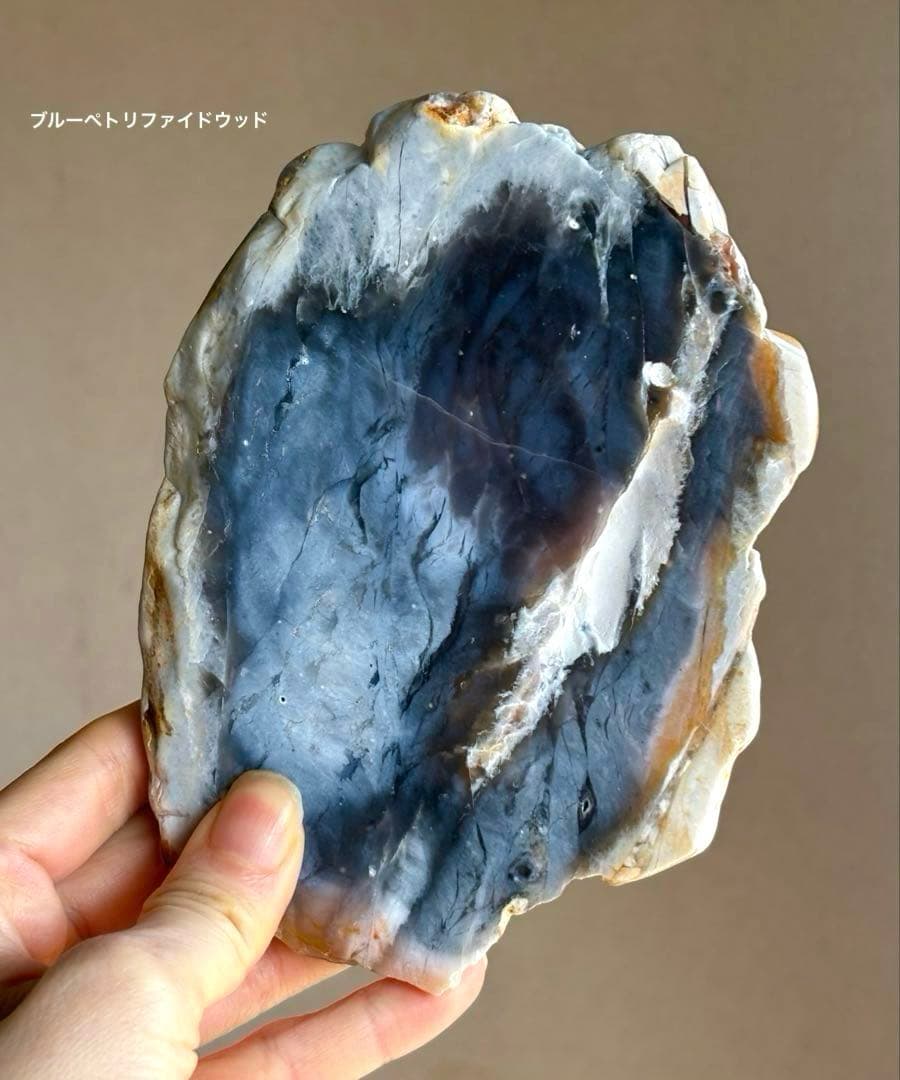 高品質　レア　BIG ブルーペトリファイドウッド　プレート　珪化木