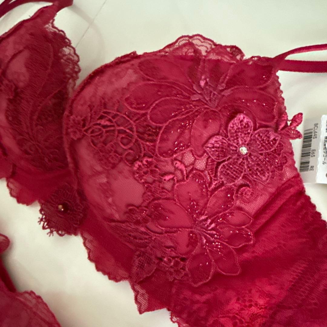 専用！☆ワコール パルファージュ E65・M☆45G