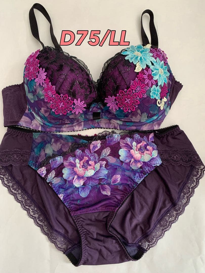 ワコール　サルート　ブラジャー＆ショーツ　セット　D75&LL BTJ751