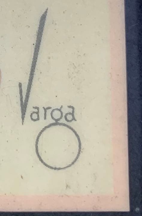 コレクション varga girl case