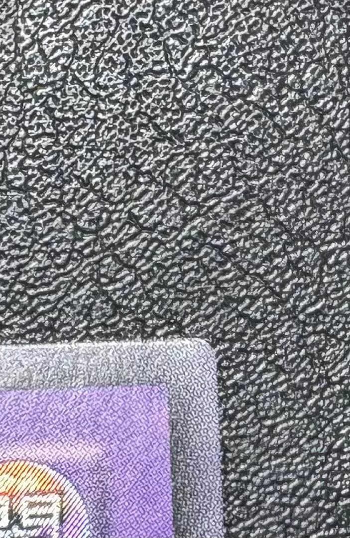 超魔導剣士ブラックパラディン/魔法使い族/ 遊戯王カード/レリーフ