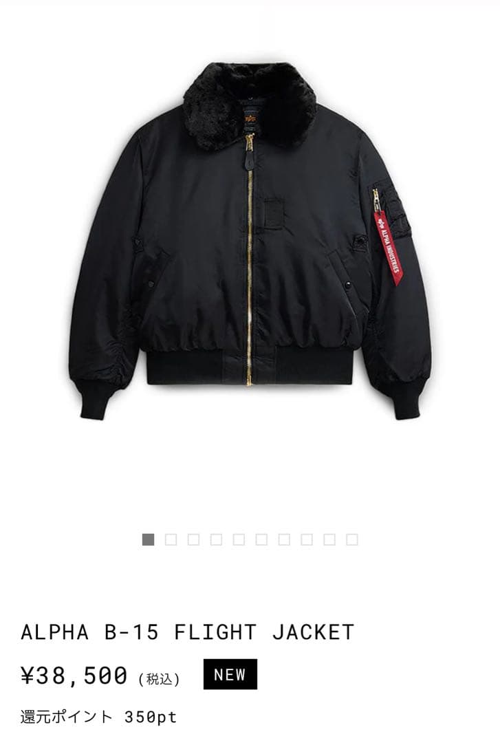 ジャケット・アウター ALPHA B-15 FLIGHT JACKET S