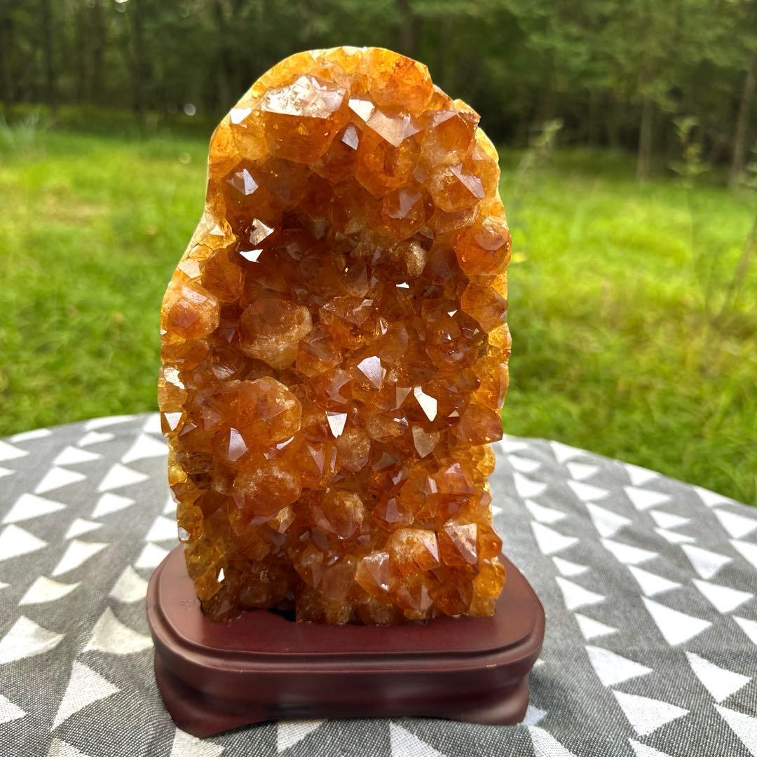 特価　シトリンクラスター　40