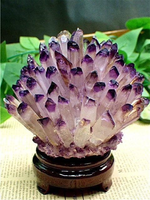 約：1055gAAA級家庭円満天然アメジストクラスターB85G6/335G13A