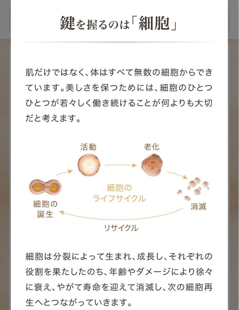 【新品未開封】アムウェイ ロンジェビティ アイクリーム レフィル　定価21600