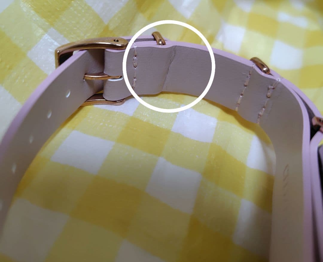 CITIZEN TDR限定 イッツ・ア・スモールワールド 腕時計　ソーラー