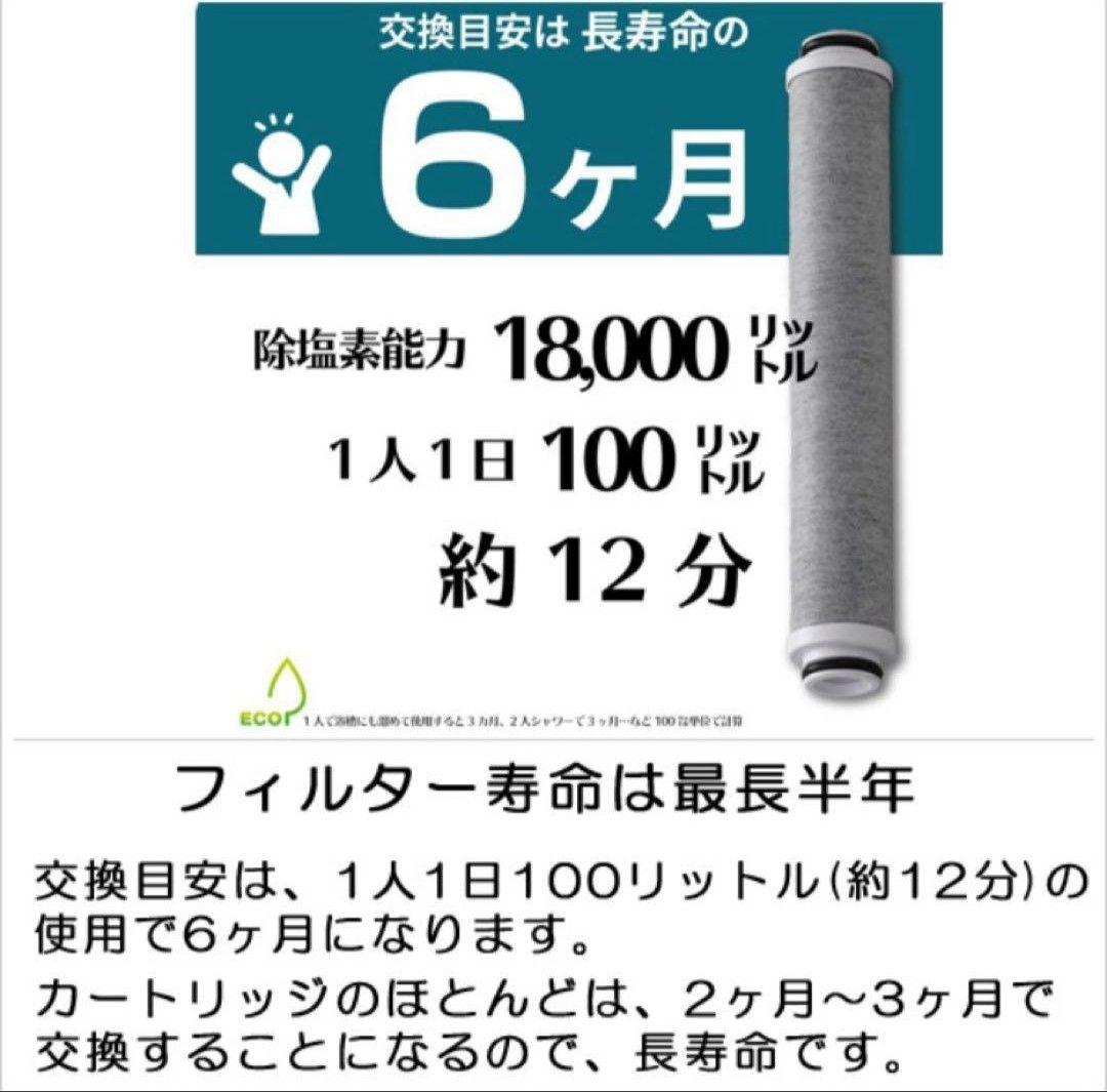 高機能ヘッド 除塩素水 バブリージョワー 予備カートリッジ付 除塩⇔水 切替可