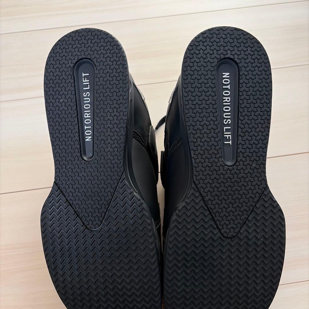 NOTORIOUS LIFT ローニンリフターズ ステルス / 43