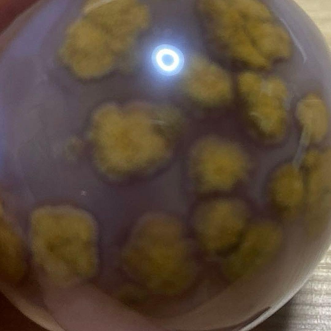 奉仕品　高級品♡オススメ‼︎ 瑪瑙　水晶　笑口　母岩無し　オールカット