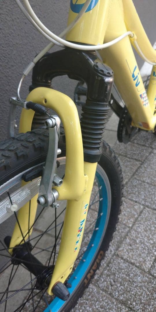 【希少】GIANT Liv マウンテンバイク 20インチ サスペンション付き