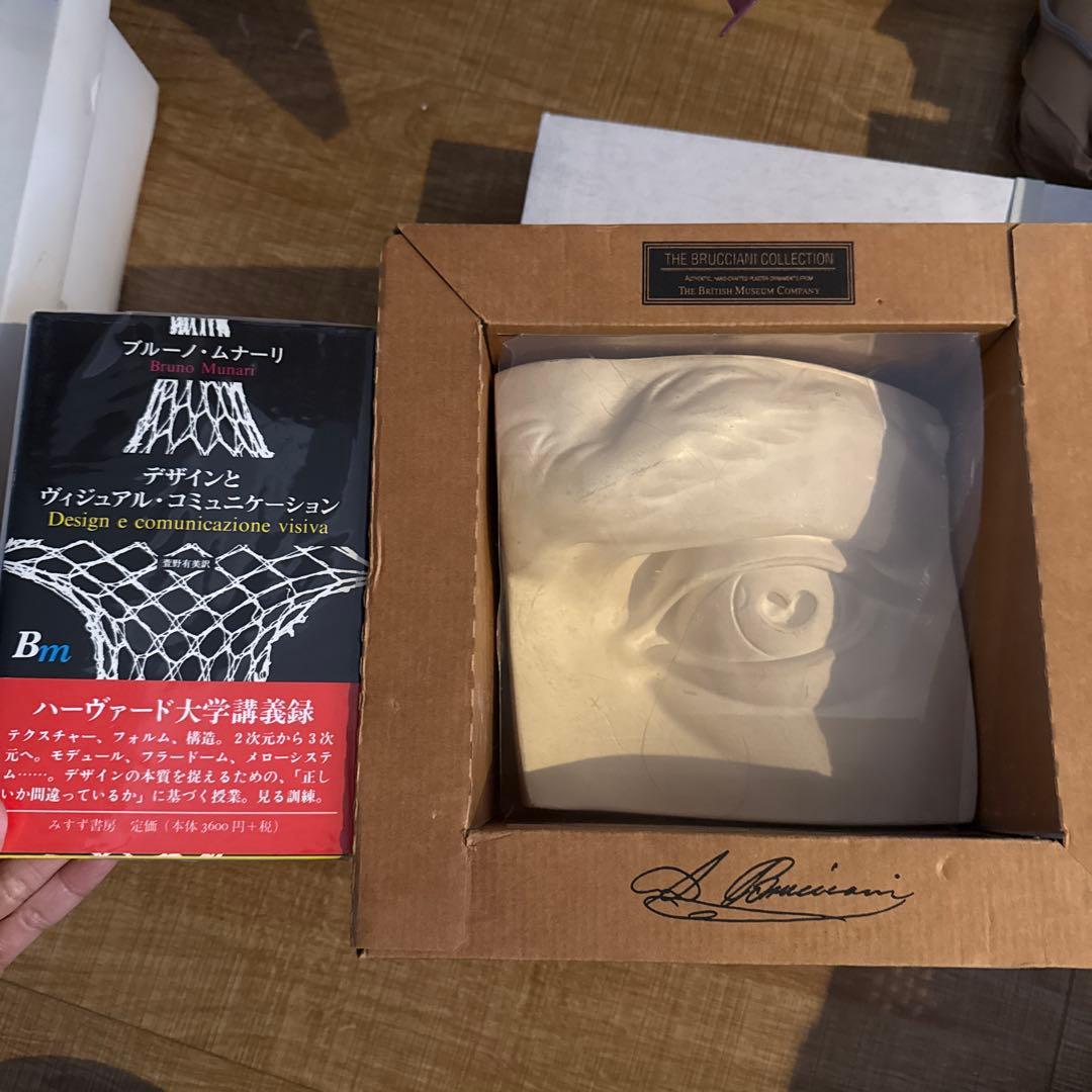 大セール 特大20センチ博物館 The Brucciani Collection