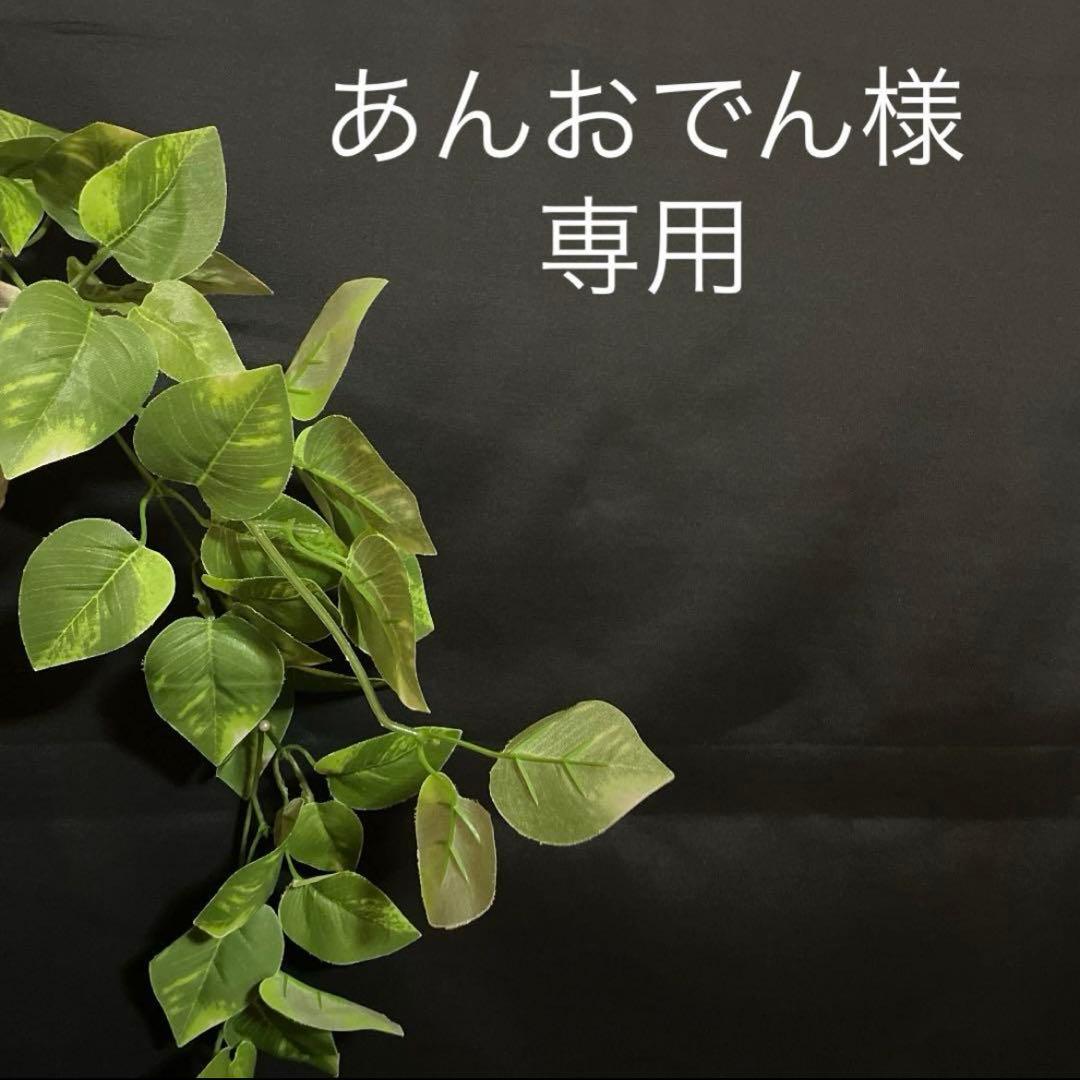 あんおでん♪様　ワッシャー　キャンディーお袖のワンピース