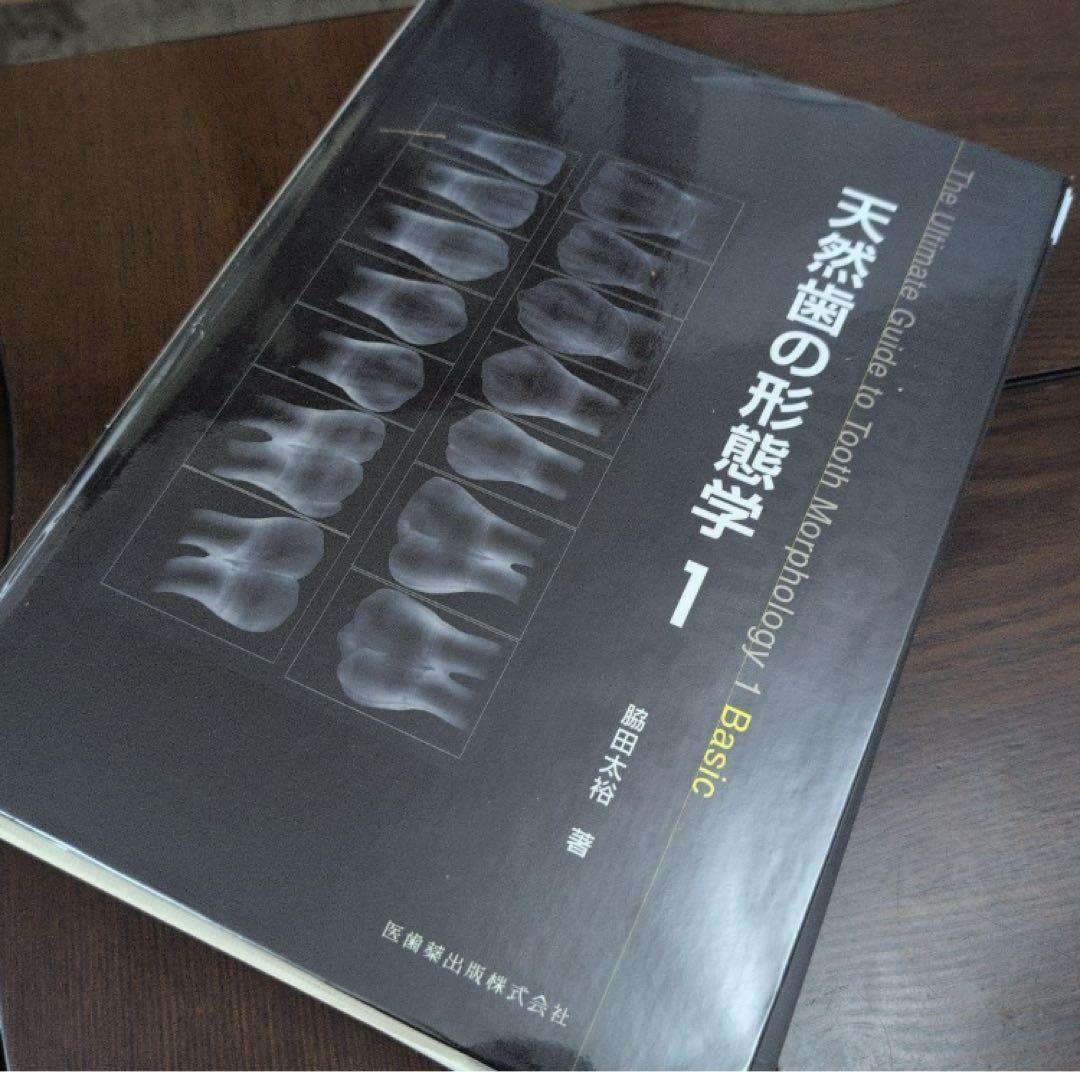 天然歯の形態学