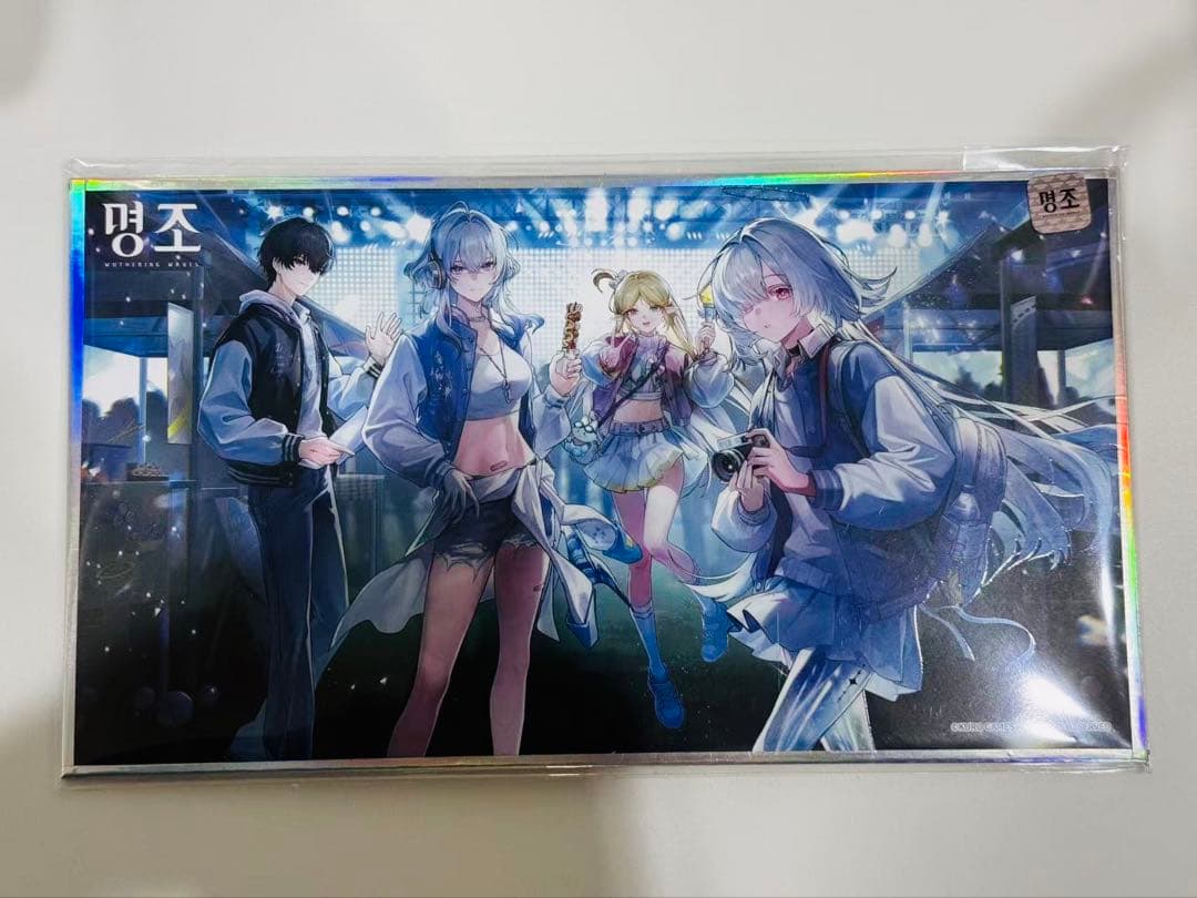 韓国限定 鳴潮 キャンパス 色紙