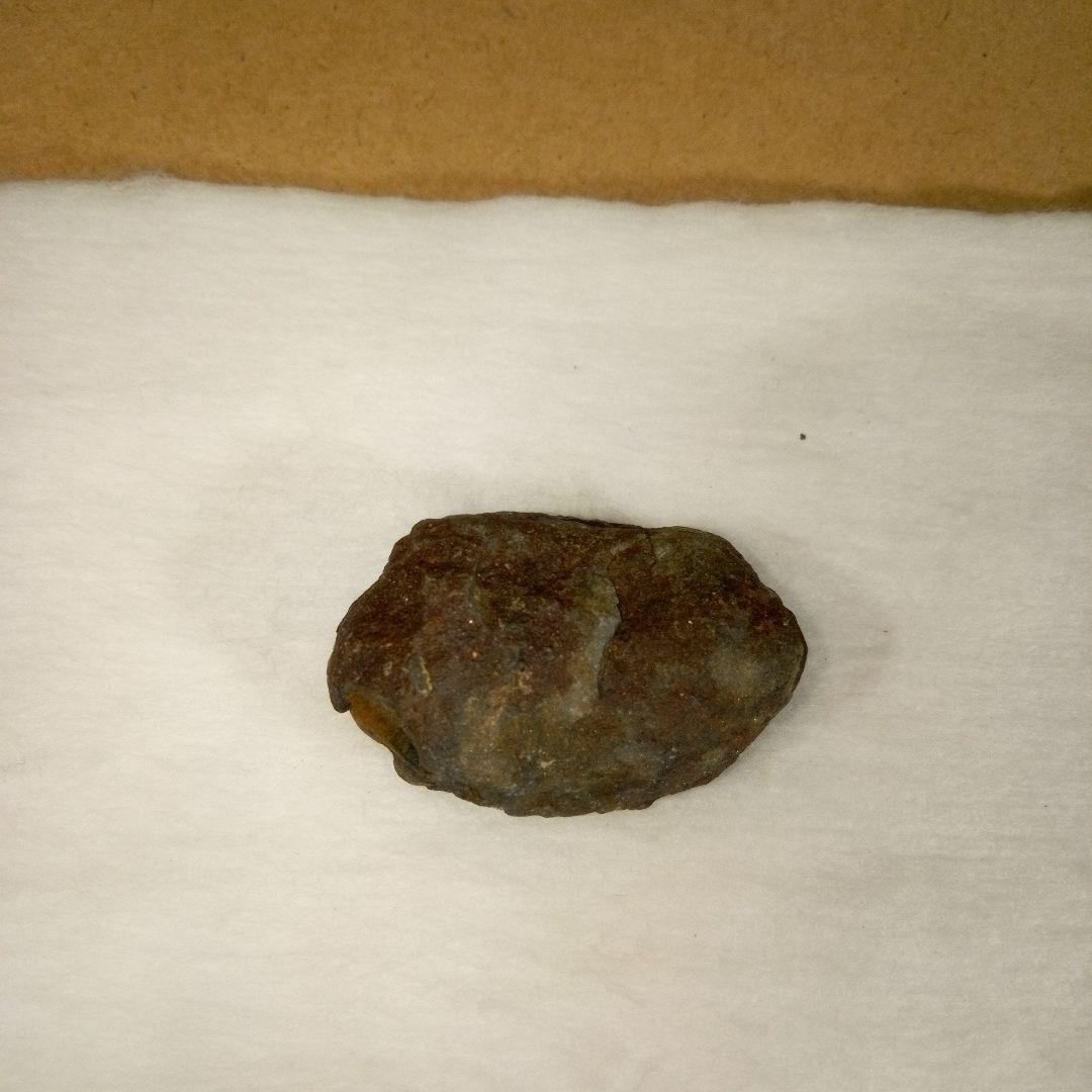 三葉虫　化石　三葉虫化石　究極のレトロ　fossil　ボリビア産　化石管理番号⑮