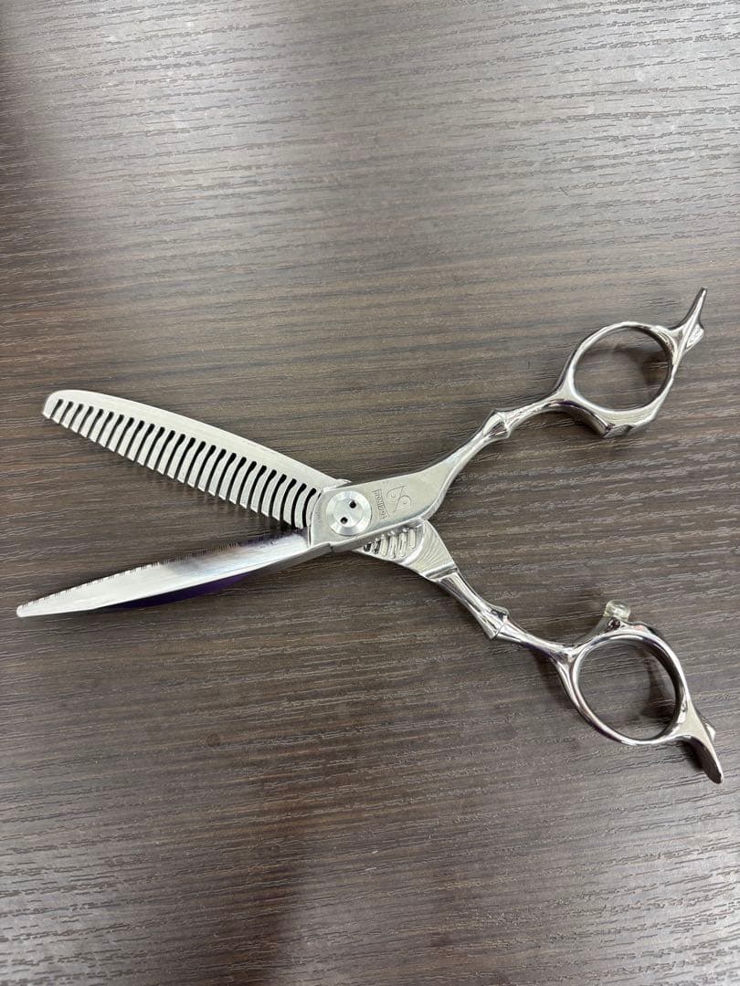 トギノンセニング ダイナザウルス