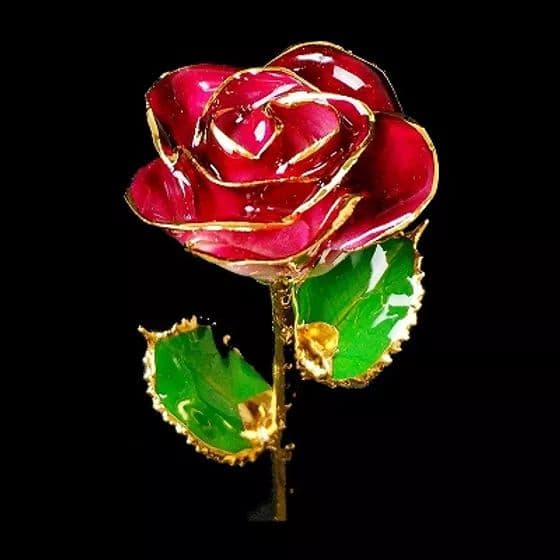 Gold Prestige ゴールドプレスティージ ボルドーローズ　プレゼント