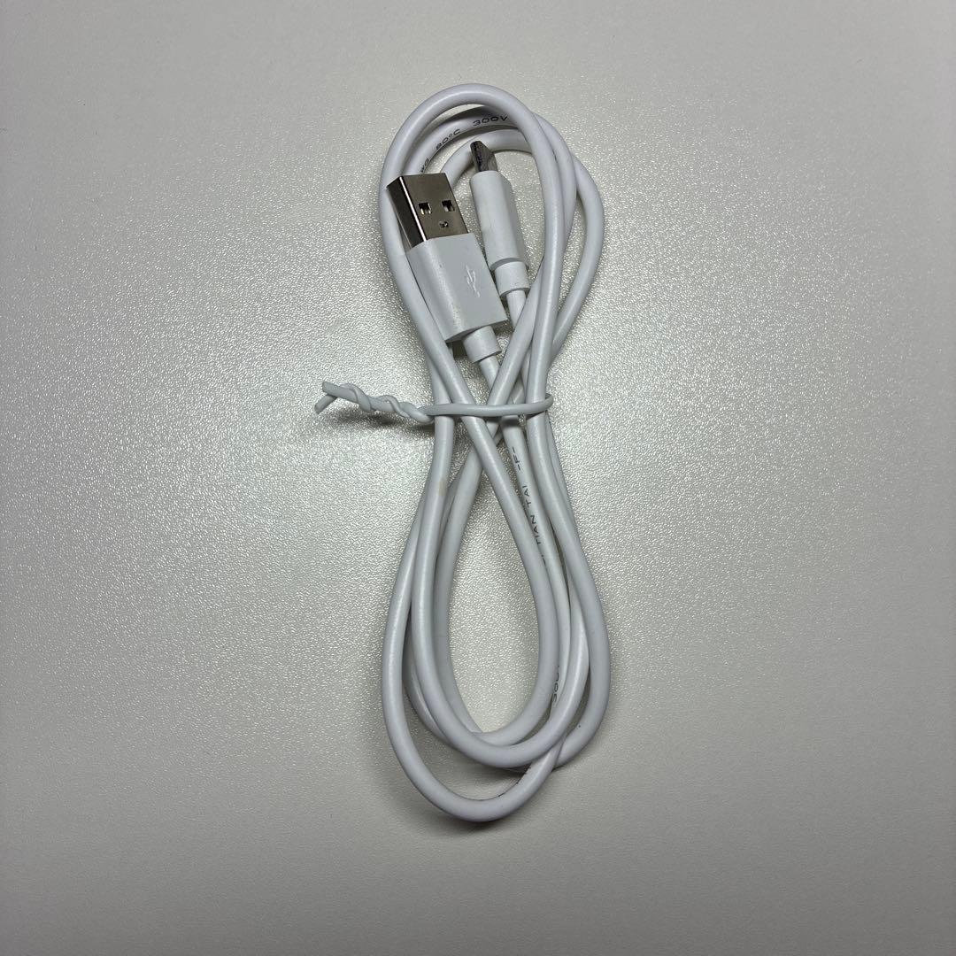 サロニア　美顔器　ＥＭSリフトブラシ　電気ブラシ