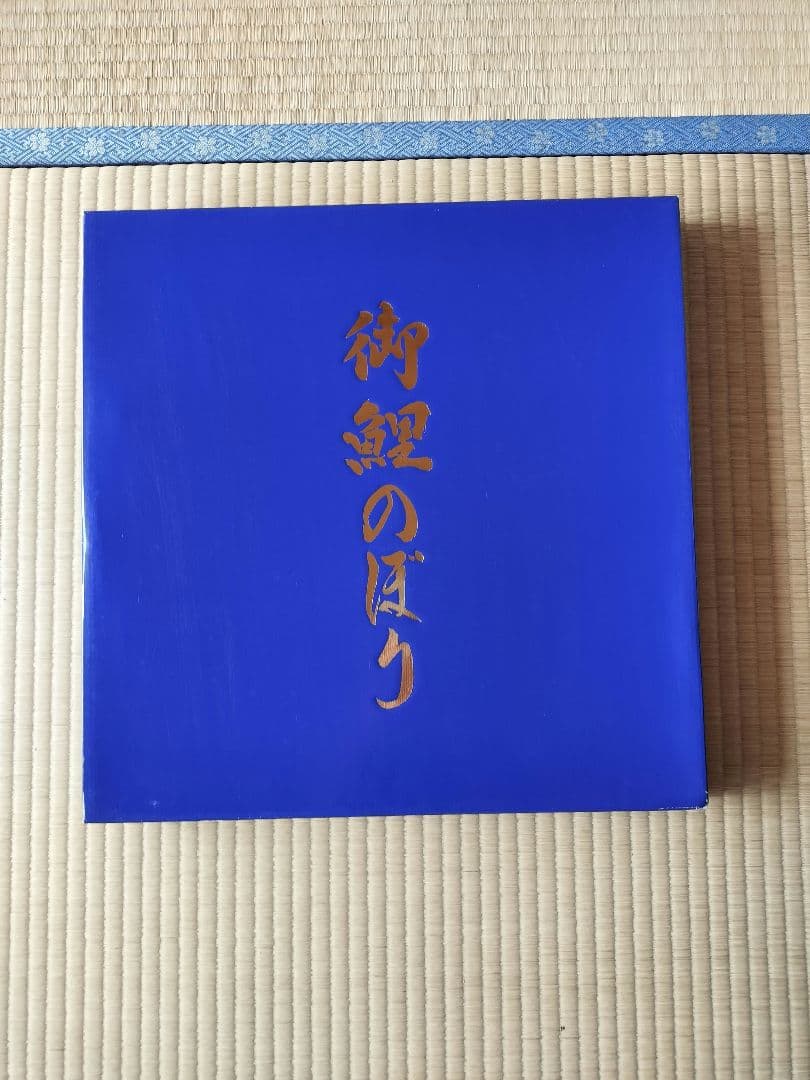 ゴールデン金太郎鯉　６m