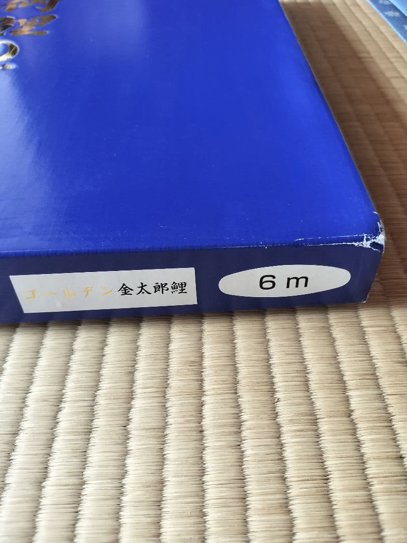 ゴールデン金太郎鯉　６m