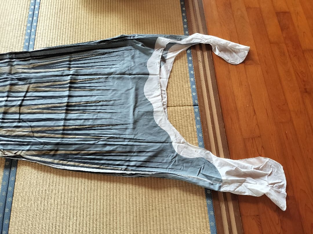 ゴールデン金太郎鯉　６m