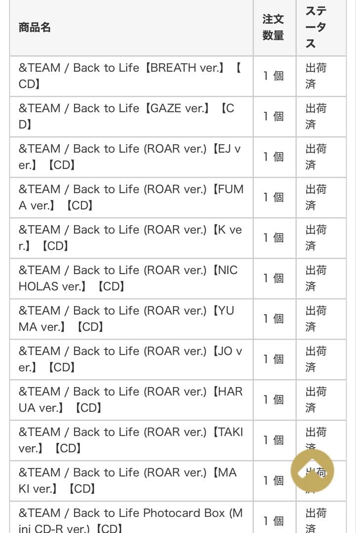 &TEAM Back to Life 12形態セット　シリアル12枚付き
