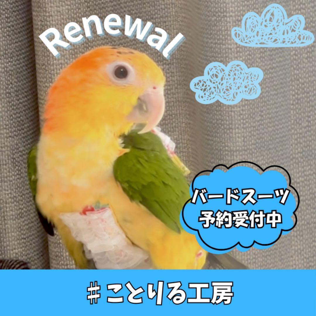 『 オーダー予約受付中 』 バードスーツ Part1