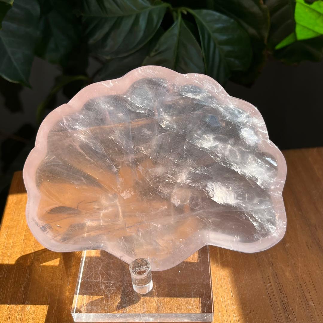 DJピコ2点おまとめ　シェル形お皿、花形お皿