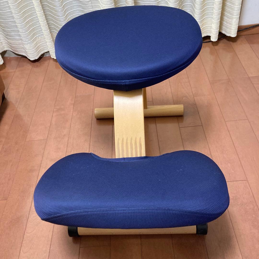 サカモトハウス バランスチェア イージー ローラー付クロスバー　専用カバー