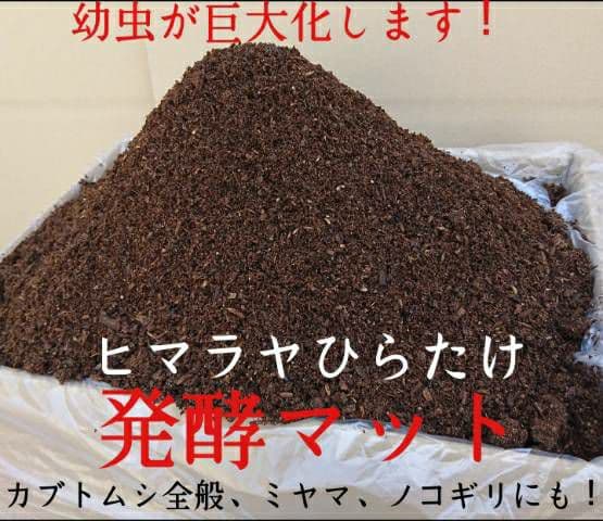 最強のカブトムシマット！300リットル　ヒマラヤひらたけ発酵マット　幼虫が巨大化