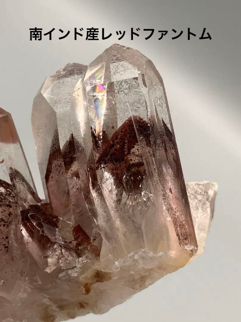 南インド産レッドファントム