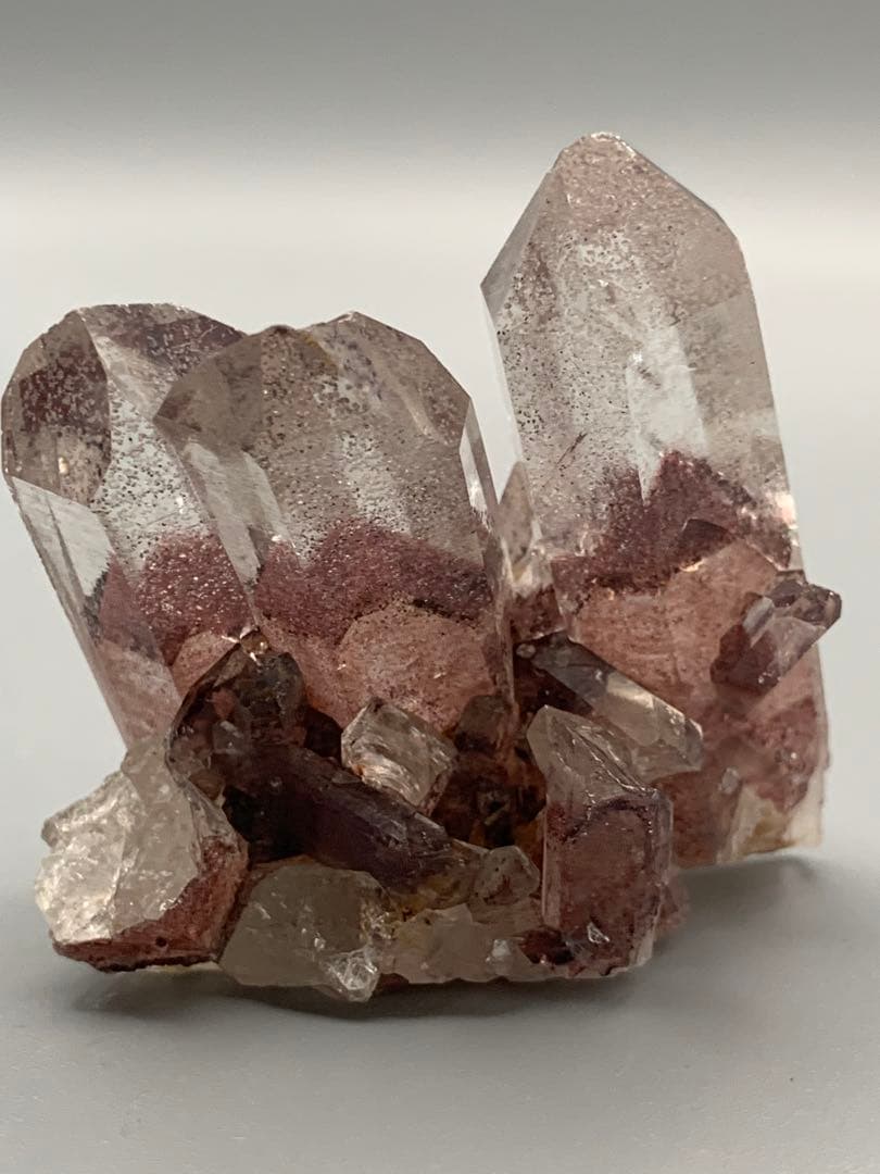 南インド産レッドファントム