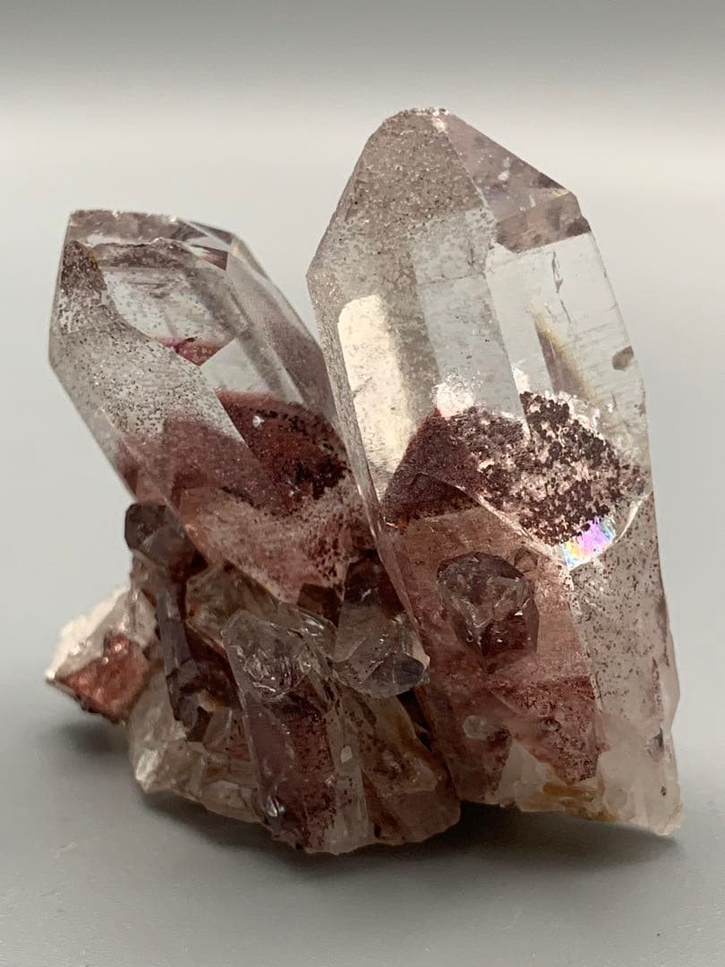 南インド産レッドファントム