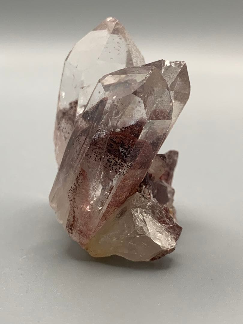 南インド産レッドファントム