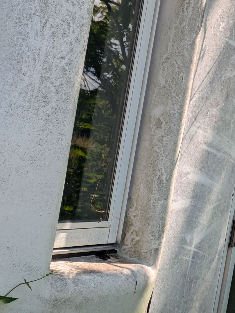 【埼玉引取限定】レトロ☆プレハブ❓ハウス