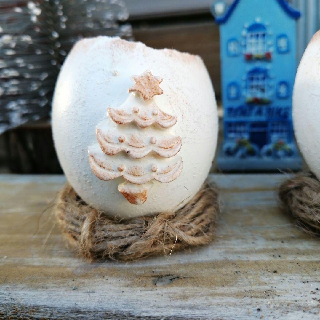 221. たまご鉢 3個　多肉植物　寄せ植え