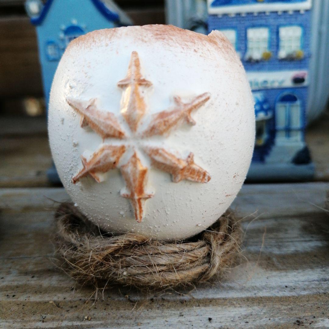 221. たまご鉢 3個　多肉植物　寄せ植え